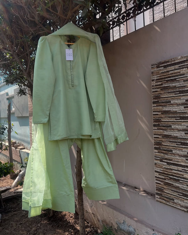 ESHA FARSHI SHALWAR SET